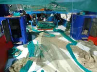 Trawler pārdošanā
