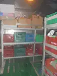 Reefer kuģis pārdod