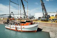 Trawler pārdošanā