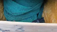 Trallers pārdod