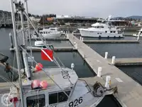 Glatēšanas laiva pārdod
