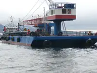 Liellaiva pārdošanā