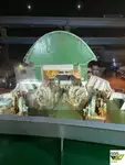 Ro-Ro kuģis pārdod