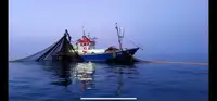 Trawler pārdošanā