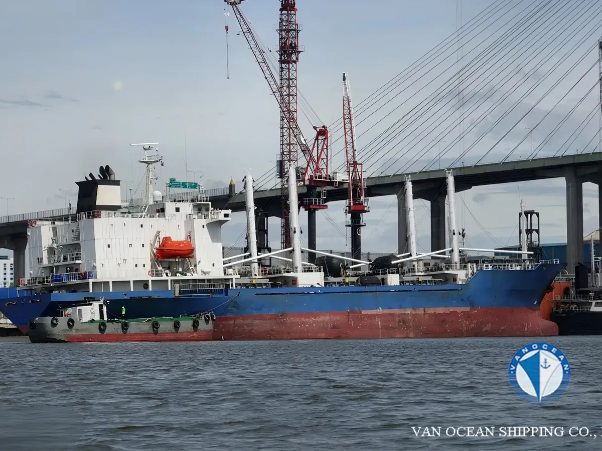 Reefer kuģis pārdod