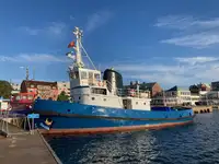 Velkonis pārdošanā