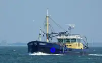 Staru trallera zvejas kuģis pārdod