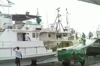 Longliner pārdošanā