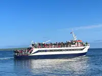 Pasažieru kuģis pārdošanā