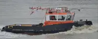 Vilcējs pārdod