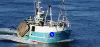 Beam trawler pārdošanā