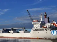 Reefer kuģis pārdod