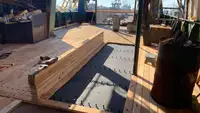 Trallers pārdod