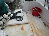 Trallers pārdod