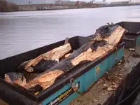 Bārža pārdod
