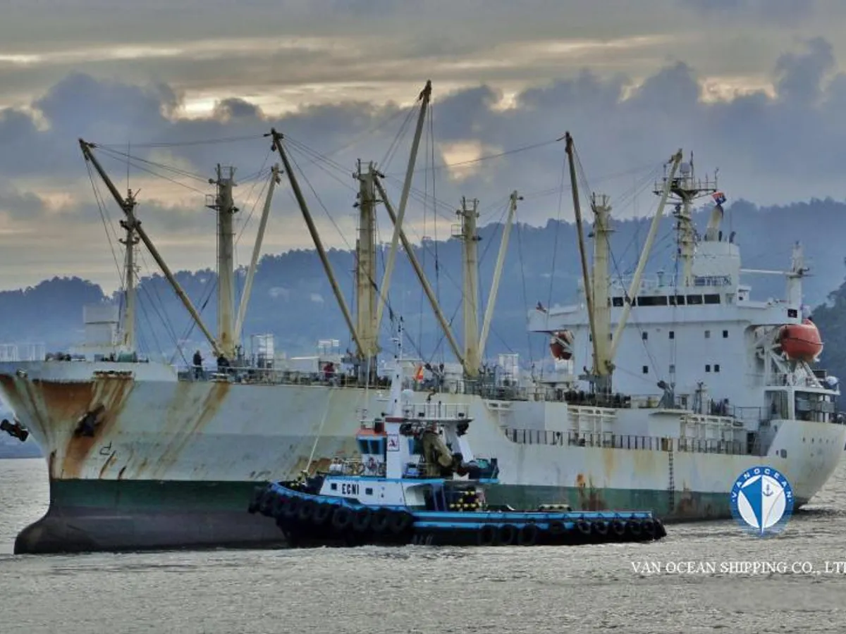 Reefer kuģis pārdod