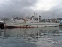 Garā līnija zvejas kuģis pārdod