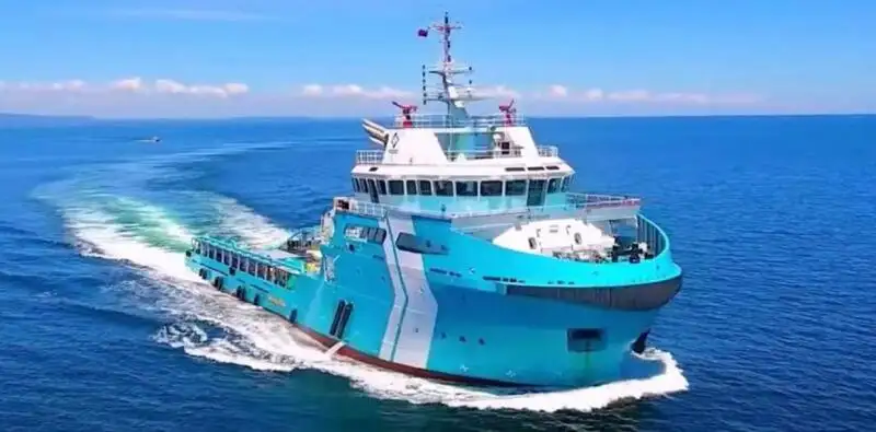 Velkonis pārdošanā