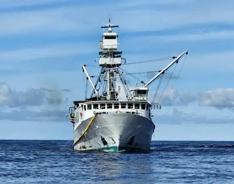 seineris pārdošanā