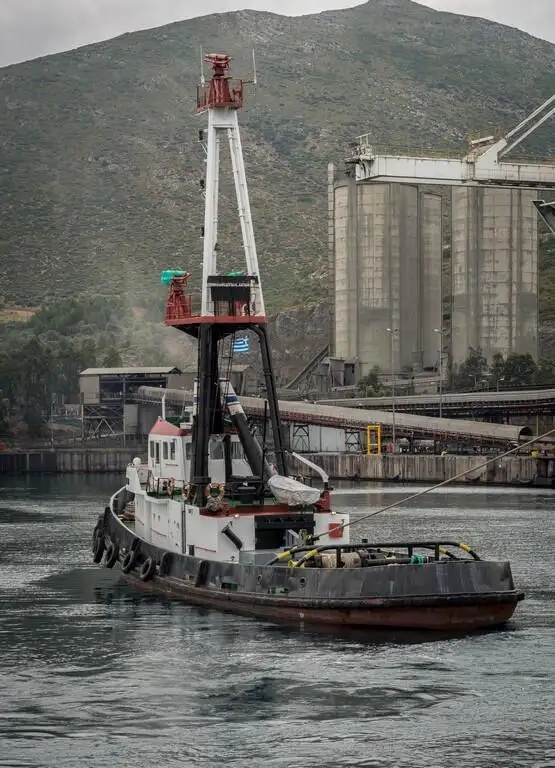 Velkonis pārdošanā