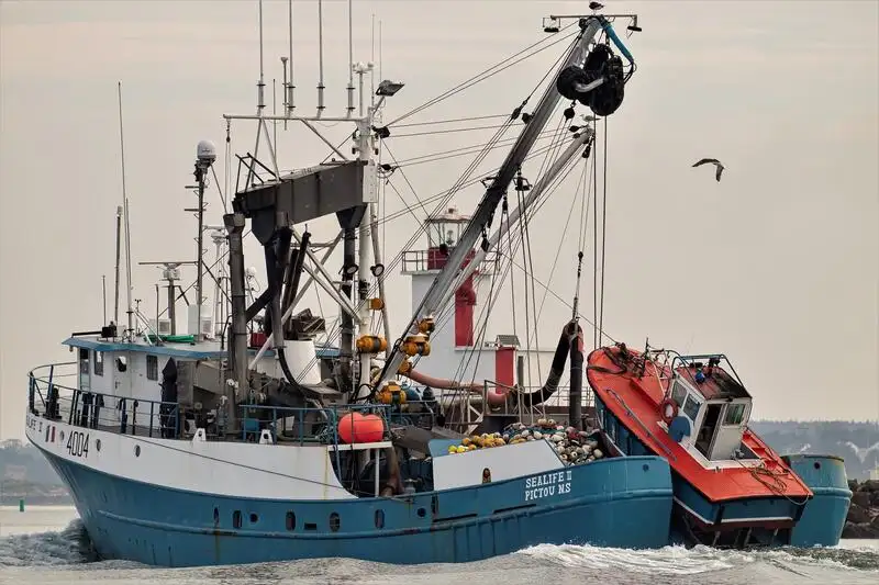 seineris pārdošanā