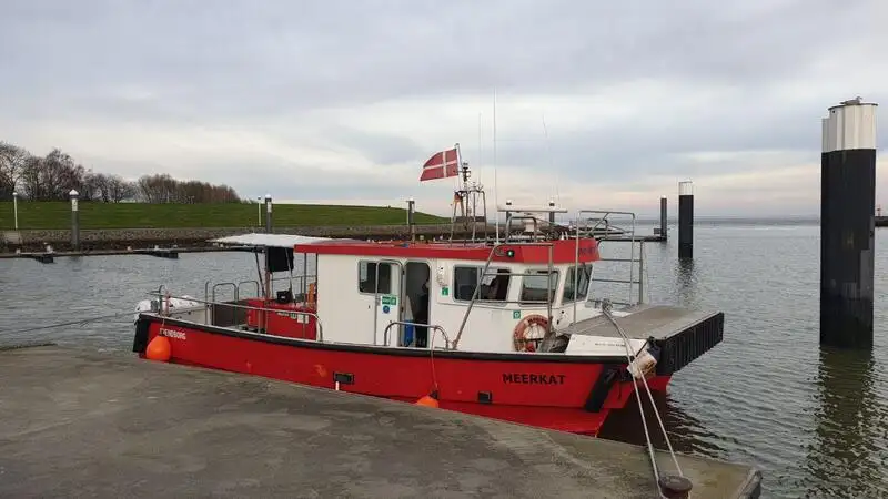 Katamarāns pārdošanā