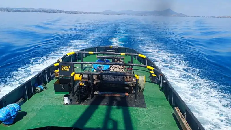 Velkonis pārdošanā