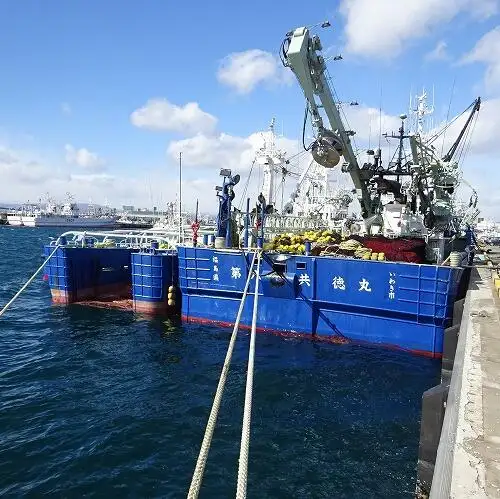 seineris pārdošanā