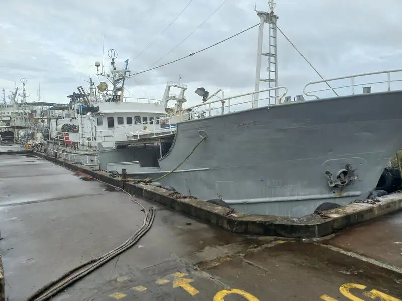 Kuģis ar āķu jedām pārdošanā