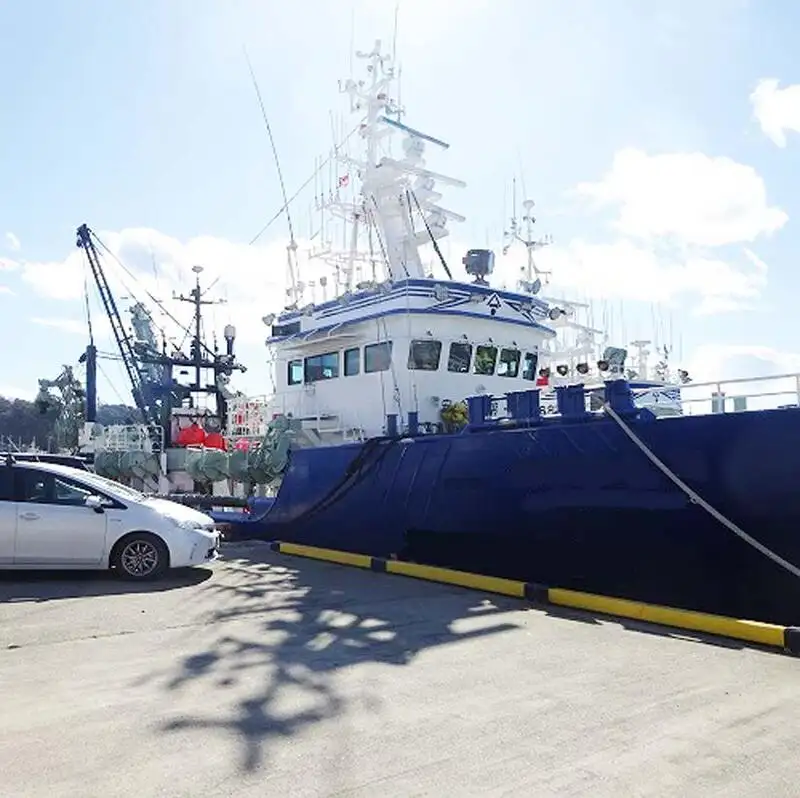 seineris pārdošanā