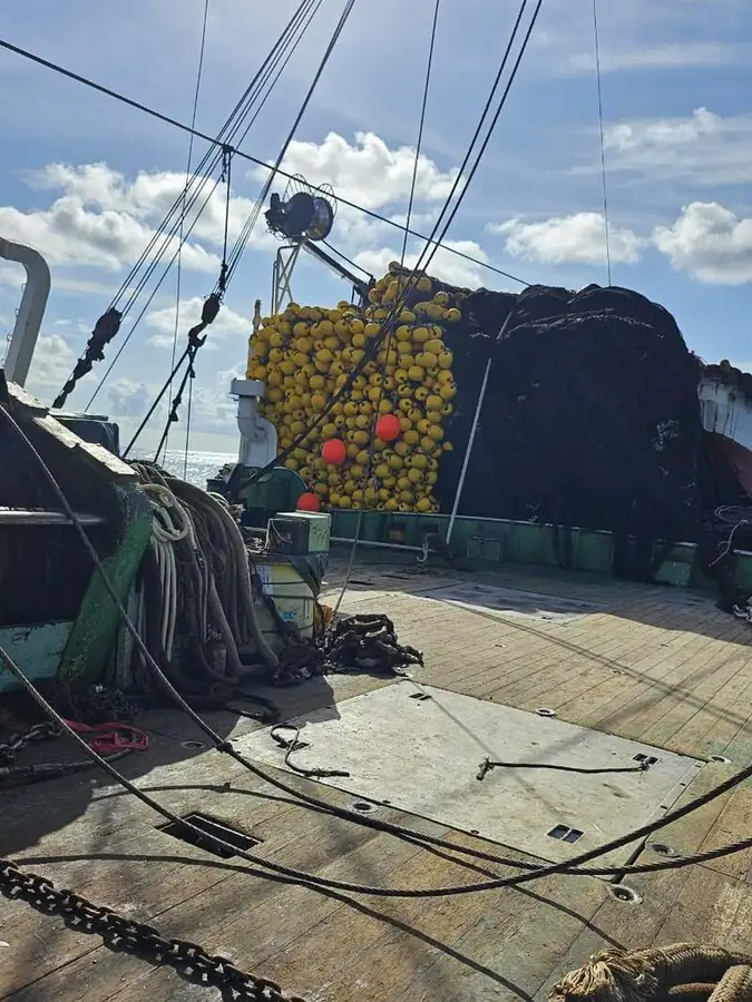 seineris pārdošanā