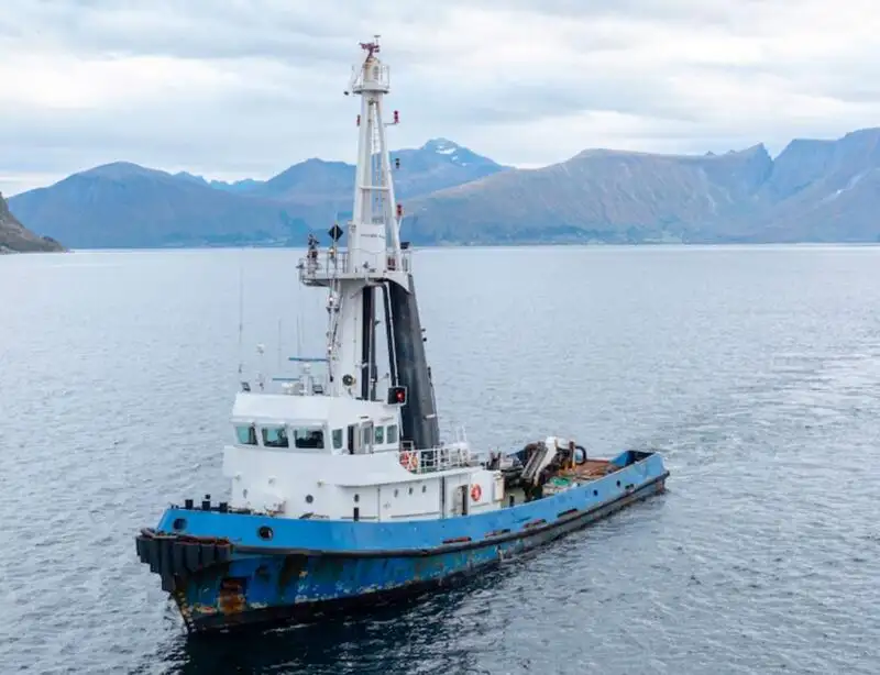 Velkonis pārdošanā