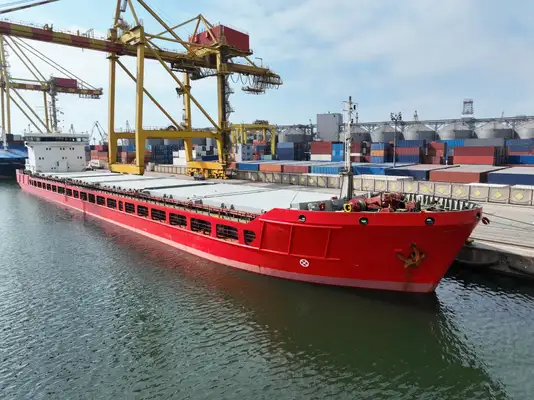 Bulk carrier for sale