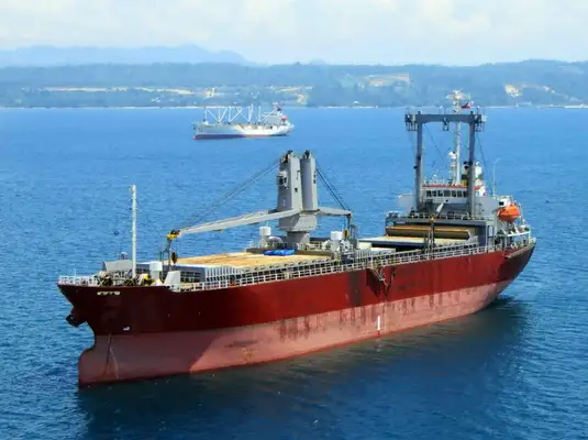 Bulk carrier for sale
