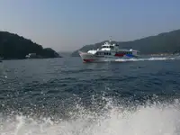 Prāmju kuģis pārdošanā