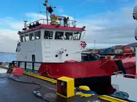 Velkonis pārdošanā