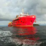 Liellaiva pārdošanā