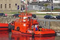 Velkonis pārdošanā