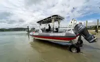 Amfībijas pārdošanā