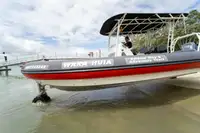 Amfībijas pārdošanā