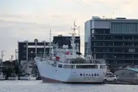 Zvejas traleris pārdošanā