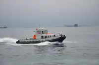 Velkonis pārdošanā
