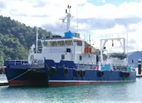 Katamarāns pārdošanā