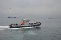 Velkonis pārdošanā