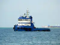 Velkonis pārdošanā