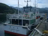 Zvejas traleris pārdošanā