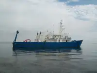 Daudzfunkcionāls pārdošanā