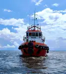 Velkonis pārdošanā