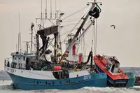 seineris pārdošanā