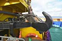 Velkonis pārdošanā